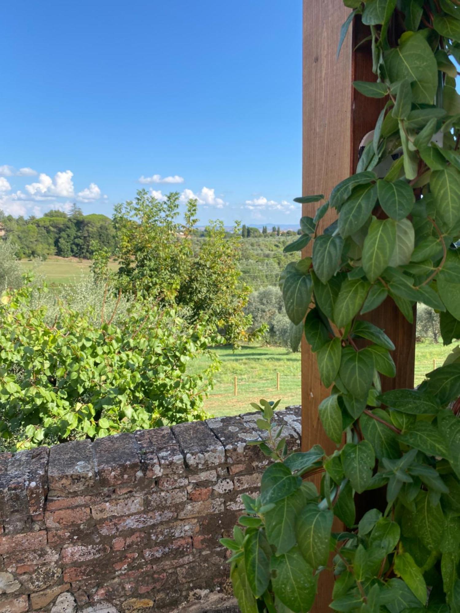 Palazzo Del Papa Country Suites Siena Exterior photo