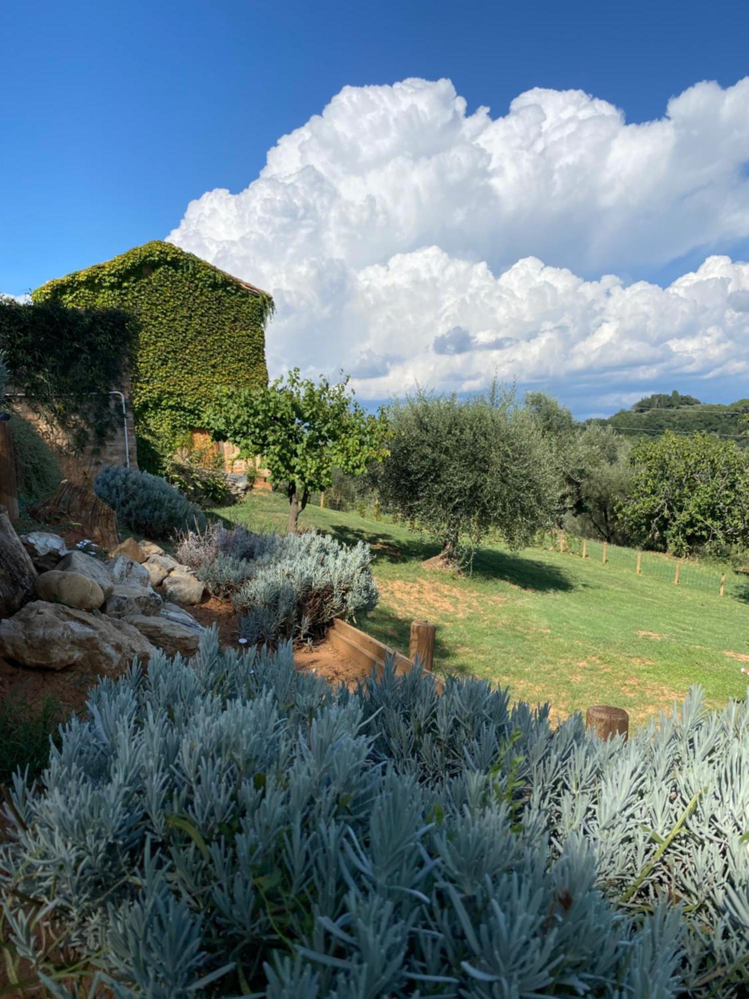 Palazzo Del Papa Country Suites Siena Exterior photo